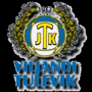 Тулевик