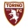 Торино до 19